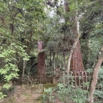 八重垣神社　二本過ぎ.jpeg